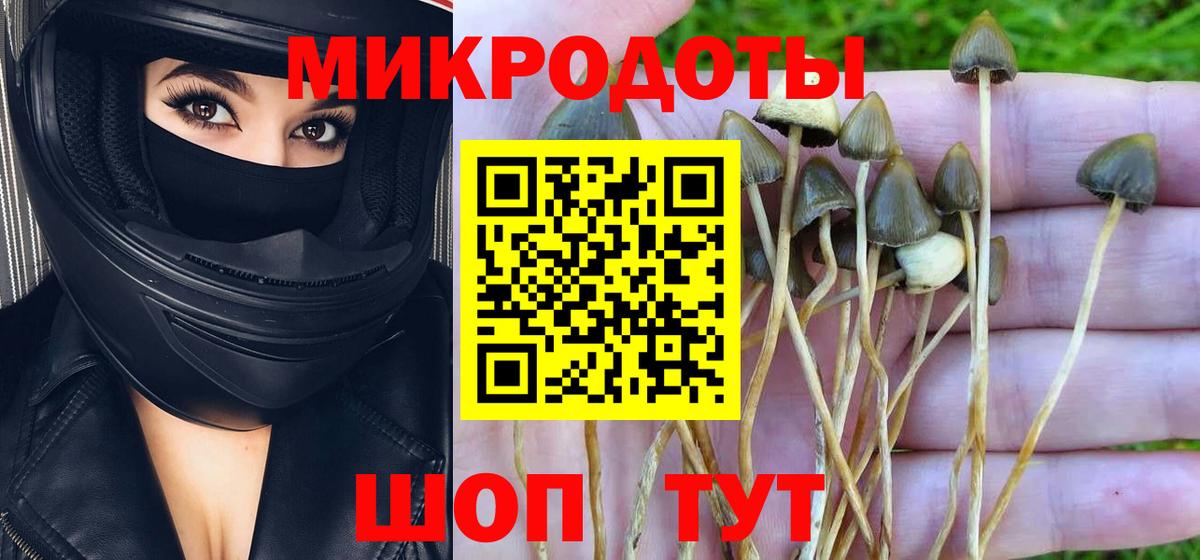 Псилоцибиновые грибы мицелий Йошкар-Ола